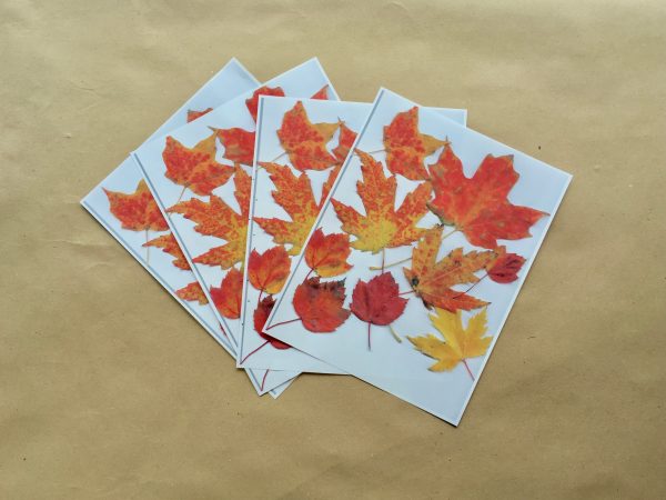 Thankful for Who He Is - Psalm 136 Fall Leaf Banner Craft